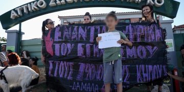 Θανάτωση του χιμπατζή Μπαζού: Θύελλα αντιδράσεων – Προανάκριση απο την Αστυνομία – Ελεύθερος ο 29χρονος που τον πυροβόλησε | ΦΩΤΟ