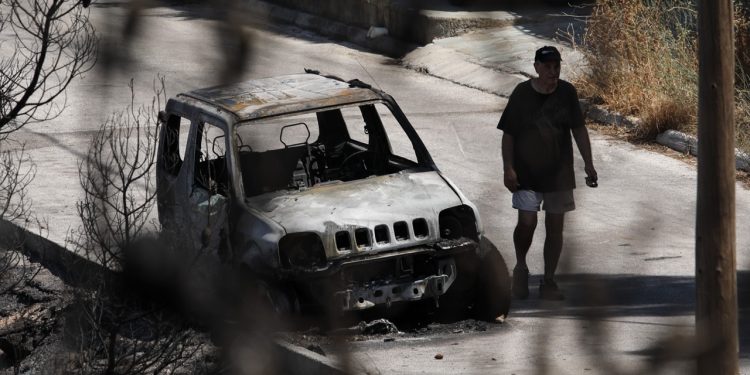 Η επόμενη μέρα στα καμένα – Το καλοκαίρι θα είναι σκληρό, τα πράγματα δεν θα είναι εύκολα, λέει ο Στυλιανίδης | ΦΩΤΟ