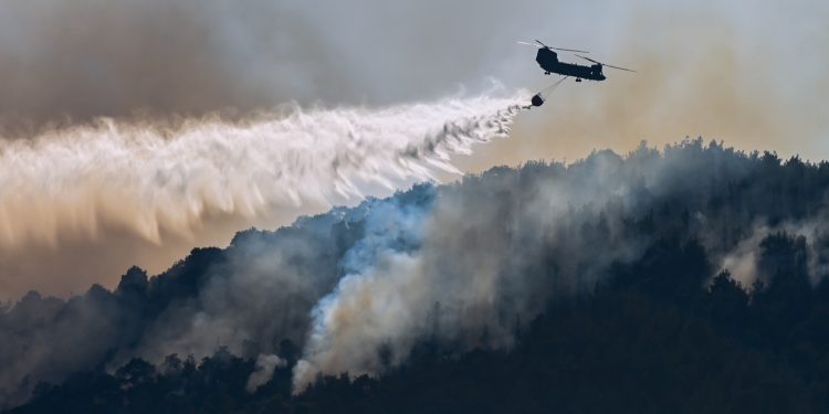Πυρκαγιά στη Δαδιά Έβρου: Συνεχίζει για 7η μέρα το καταστροφικό της έργο – Στο νοτιοδυτικό μέτωπο δίνουν τη μάχη οι δυνάμεις πυρόσβεσης | ΦΩΤΟ