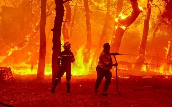 Εκπέμπει SOS η Δαδιά – Κινδυνεύει να καταστραφεί το Εθνικό Πάρκο – Δύσκολες οι συνθήκες, έρποντας μπήκαν στο δάσος οι πυροσβέστες | ΦΩΤΟ 