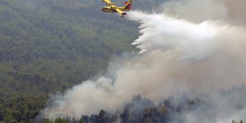 Μεγάλη Πυρκαγιά στη Φωκίδα: Ολονύχτια μάχη με τις φλόγες πυροσβεστικών δυνάμεων και εθελοντών – Περιόρισαν τη φωτιά – Από νωρίς το πρωί επιχειρούν τα καναντέρ