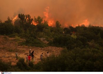 Ανεξέλεγκτη η μεγάλη πυρκαγιά στη Φωκίδα – Μήνυμα από το 112 – Εκκενώθηκε η Ιτέα, καίγεται ο ελαιώνας της Άμφισσας – Κίνδυνος για τον Εθνικό Δρυμό Παρνασσού