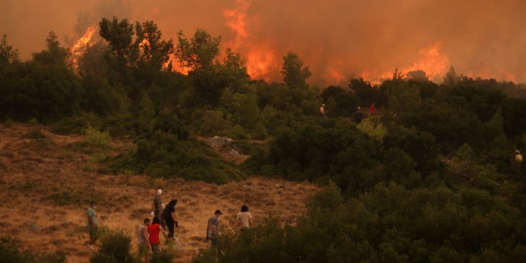 Ανεξέλεγκτη η μεγάλη πυρκαγιά στη Φωκίδα – Μήνυμα από το 112 – Εκκενώθηκε η Ιτέα, καίγεται ο ελαιώνας της Άμφισσας – Κίνδυνος για τον Εθνικό Δρυμό Παρνασσού