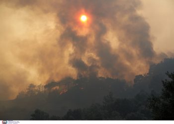 Tα μέτωπα των πυρκαγιών: Εφιαλτικό βράδι στη Δαδιά, αισιοδοξία για την εξέλιξη, αφού άρχισε να βρέχει – Μαίνεται σε Κρέστενα, καλύτερη εικόνα σε Λέσβο | ΦΩΤΟ