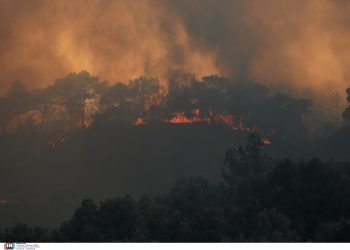 Μπαράζ πυρκαγιών στη χώρα: Μαίνονται σε Δαδιά Έβρου, Λέσβο και Κρέστενα Ηλείας – Εκκενώνονται οικισμοί – Εκρηκτικό κοκτέιλ με ξηρασία, υψηλές θερμοκρασίες και ισχυρούς ανέμους | ΦΩΤΟ
