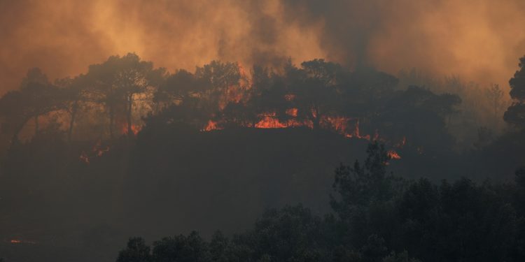 Μπαράζ πυρκαγιών στη χώρα: Μαίνονται σε Δαδιά Έβρου, Λέσβο και Κρέστενα Ηλείας – Εκκενώνονται οικισμοί – Εκρηκτικό κοκτέιλ με ξηρασία, υψηλές θερμοκρασίες και ισχυρούς ανέμους | ΦΩΤΟ