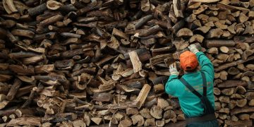 Οι Γερμανοί αποθηκεύουν καυσόξυλα για το χειμώνα και πέλετ με… δελτίο!  Ο φόβος διακοπής του ρωσικού φυσικού αερίου και οι εκτόξευση των τιμών  