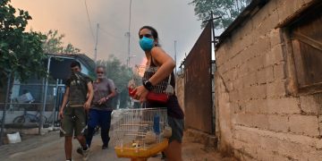 Δραματικές καταστάσεις! Εκκενώνονται Φυλή, Άνω Λιόσια, Γεννηματά, Κανάλα – Διακοπή κυκλοφορίας σε τμήμα της Αττικής Οδού – Αναλυτικά οι κυκλοφοριακές ρυθμίσεις | ΦΩΤΟ